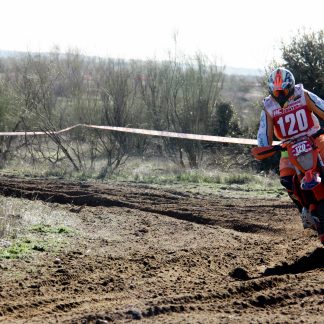 Dorsales del 101 al 150